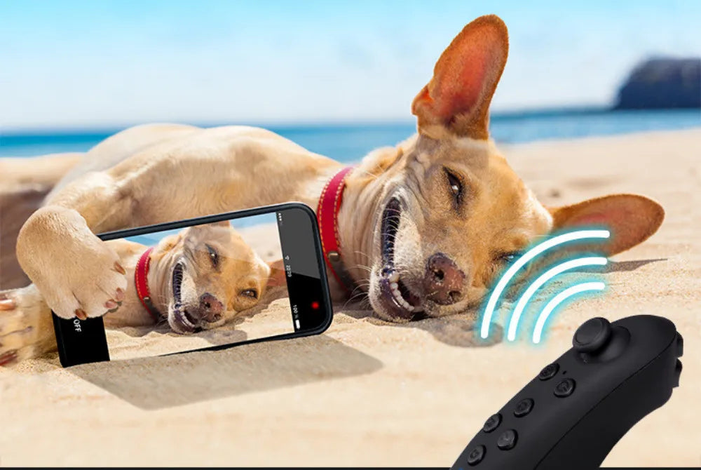 Realidade Virtual iPhone Android