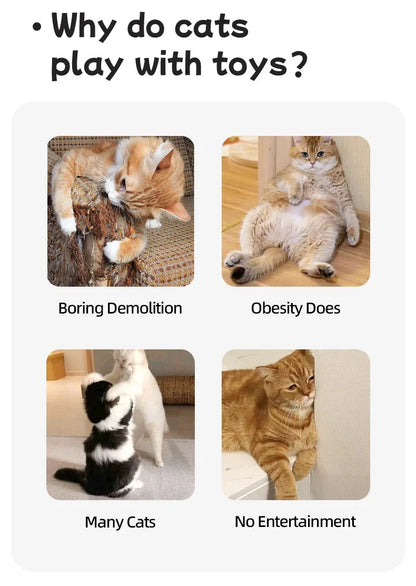 Brinquedo Inteligente Para Gatos