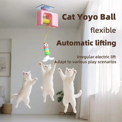 Brinquedo Interativo para Gatos