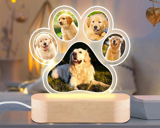 Luminária Memorial para Animais