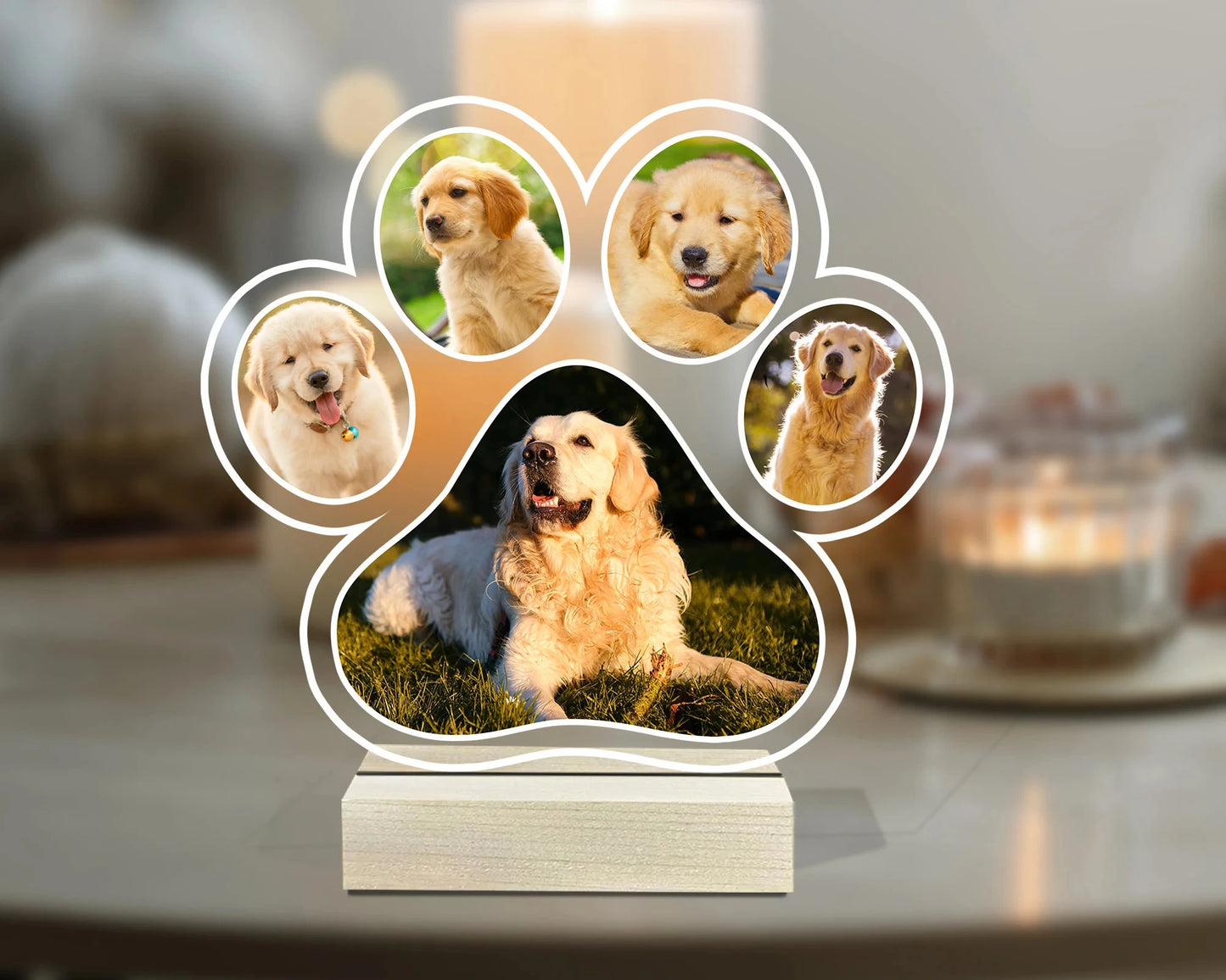 Luminária Memorial para Animais