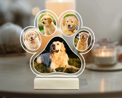 Luminária Memorial para Animais